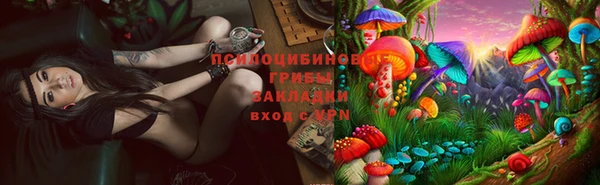 ПСИЛОЦИБИНОВЫЕ ГРИБЫ Елабуга