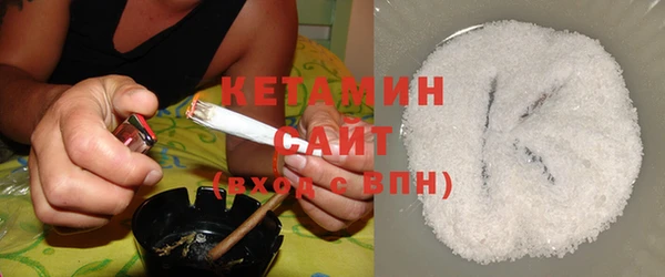 амф Ельня
