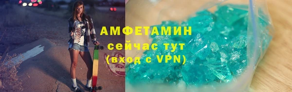 амф Ельня