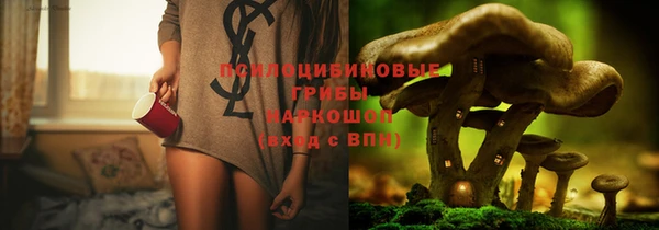 твердый Янаул