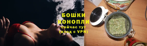 амф Ельня
