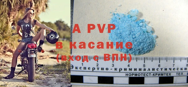ПСИЛОЦИБИНОВЫЕ ГРИБЫ Елабуга