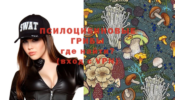 винт Елизово