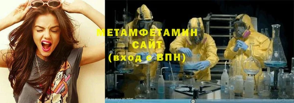 амф Ельня